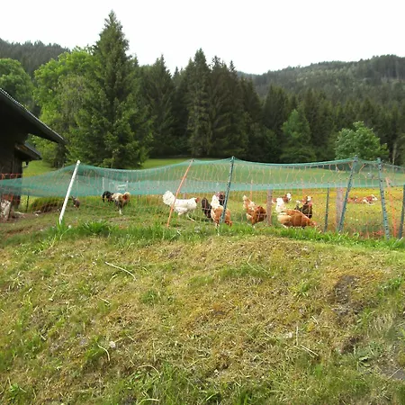 Gaestehaus Zum Tauern-2